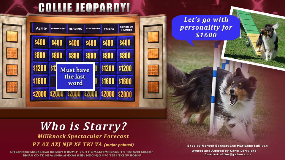 Forecast Collies -- Millknock Spectacular Forecast PT AX AXJ NJP XF TKI 