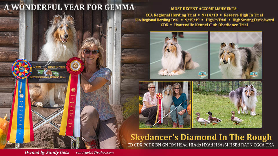 Sandy Getz -- Skydander's Diamond In The Rough CD CDX PCDX BN GN RM HSAd HIAds HXAd HSAsM HSBd RATN CGCA TKA 