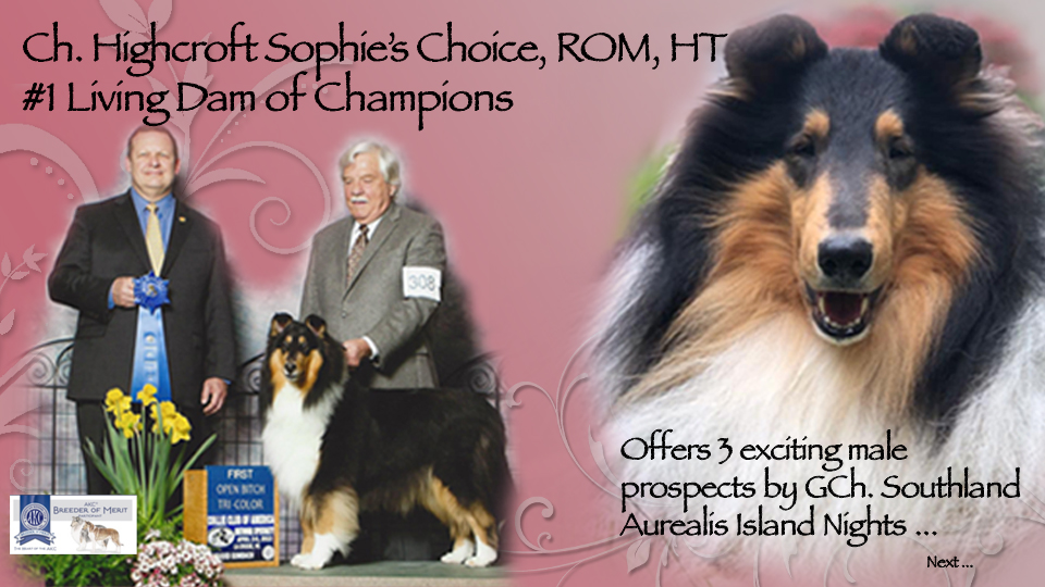 Sharon Lilja -- CH Highcroft Sophie's Choice, ROM HT / GCH Southland Aurealis Island Nights