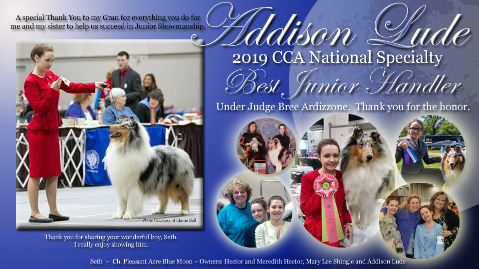 Addison Lude -- 2019 CCA National Specialty Best Junior Handler with CH Pleasant Acre Blue Moon