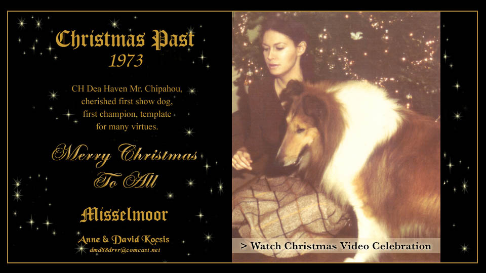 Misselmoor Collies -- Christmas Video Celebration 