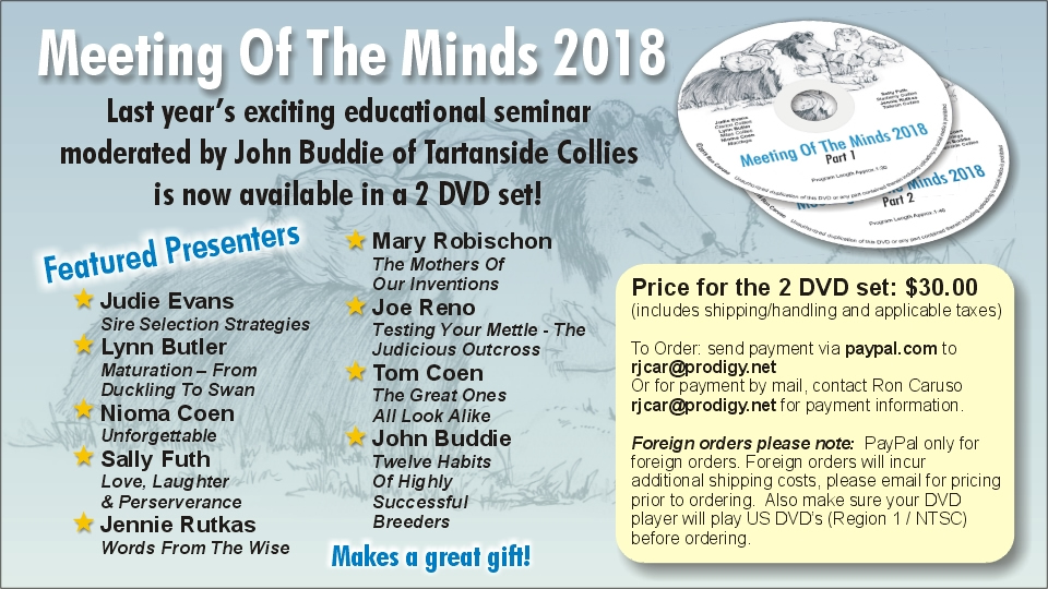 Meeting Of The Minds -- 2018 Educational Seminar 