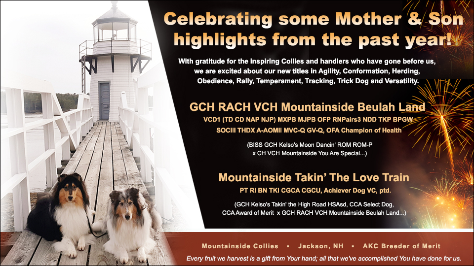Mountainside Collies -- GCH RACH VCH Mountainside Beulah Land . . . and Mountainside Takin' The Love Train . . .
