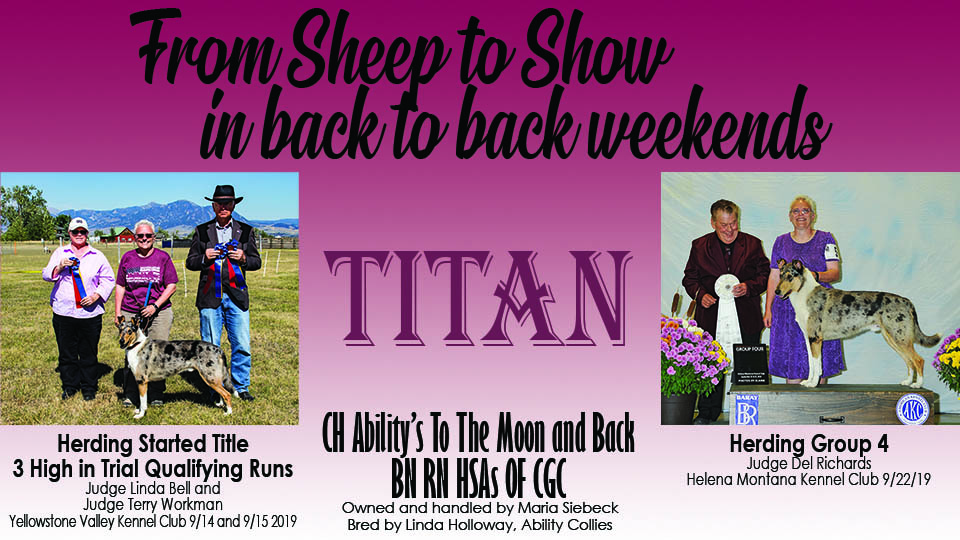 Maria Siebeck -- CH Ability's To The Moon And Back, BN RN HSAs OF CGC