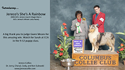 Jereco Collies -- Jereco's She's A Rainbow