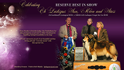 Larkspur Collies -- CH Larkspur Sun, Moon And Stars