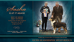 Sequoia Collies -- GCHS Seawhisper Mysterious