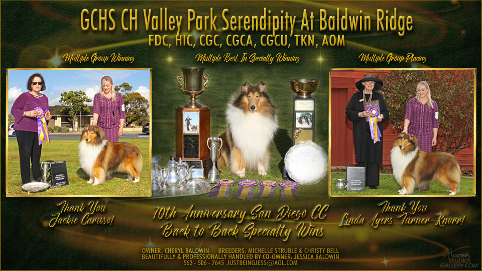 Baldwin Ridge Collies -- GCHS Valley Park Serendipity At Baldwin Ridge, FDC HIC CGC CGCA  CGCU TKN 