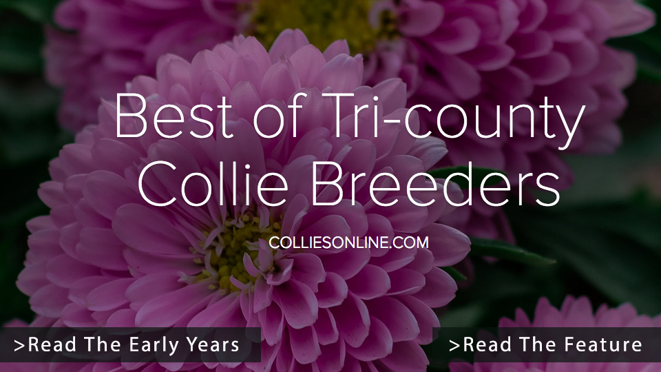Colliesonline.com -- Best of Tri-county Collie Breeders / The Early Years