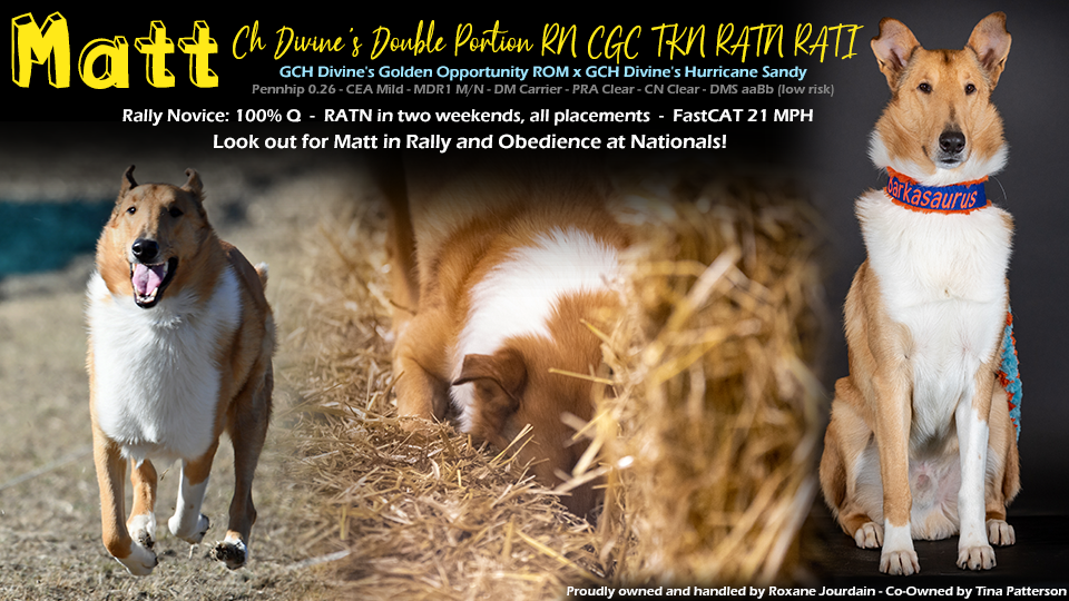 Roxane Jourdain -- CH Divine's Double Portion RN CGC TKN RATN RATI