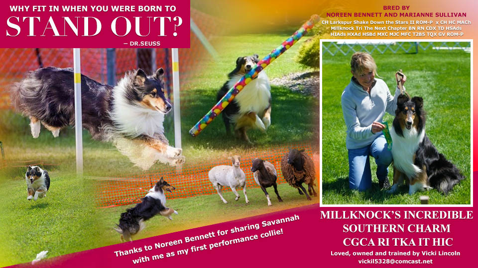 Vicki Lincoln -- Millknock's Incredible Southern Charm CGCA RI TKA IT HIC