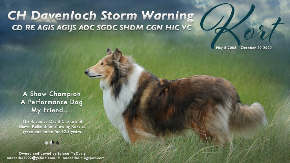 Jolene McCuaig -- In loving memory of CH Davenloch Storm Warning CD RE AGIS AGIJS ADC SGDC SHDM CGN HIC VC