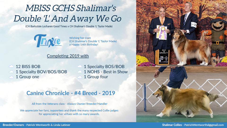 Shalimar Collies -- GCHS Shalimar's Double 'L' And Away We Go
