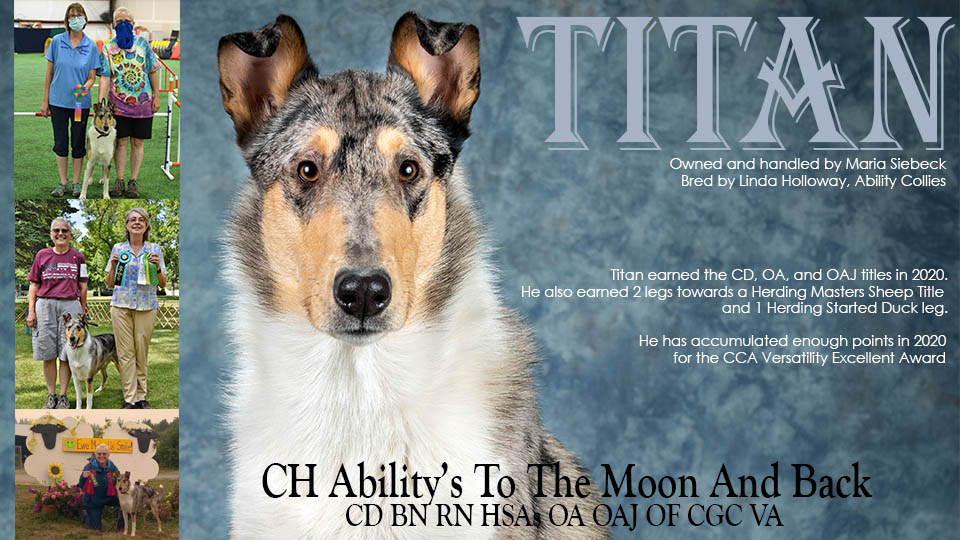 Maria Siebeck -- CH Ability's To The Moon And Back CD BN RN HSA OA OAJ OF CGC VA