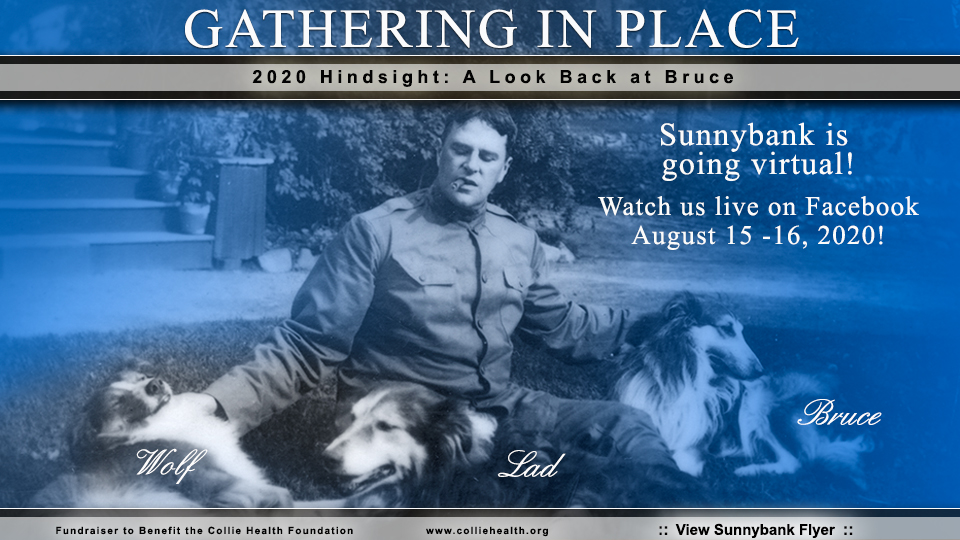 Sunnybank :: The 24th Annual Gathering -- 2020 Hindsight: A look Back at Bruce