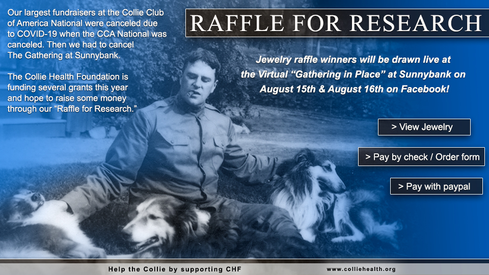 Collie Health Foundation -- Raffle For Research