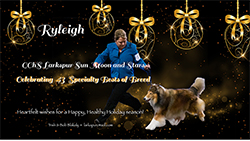 Larkspur Collies -- GCHS Larkspur Sun Moon And Stars 