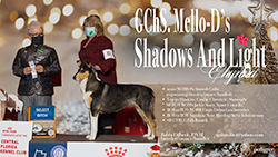Mello-D Collies -- GCHS Mello-D's Shadows And Light