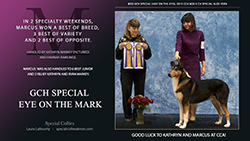 Special Collies -- GCH Special Eye On The Mark