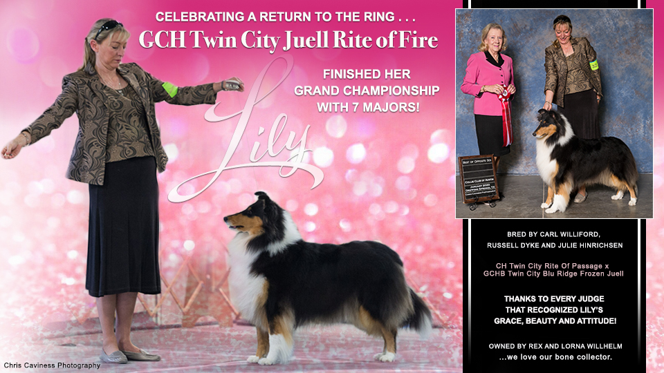 Rex and Lorna Willhelm -- GCH Twin City Juell Rite Of Fire