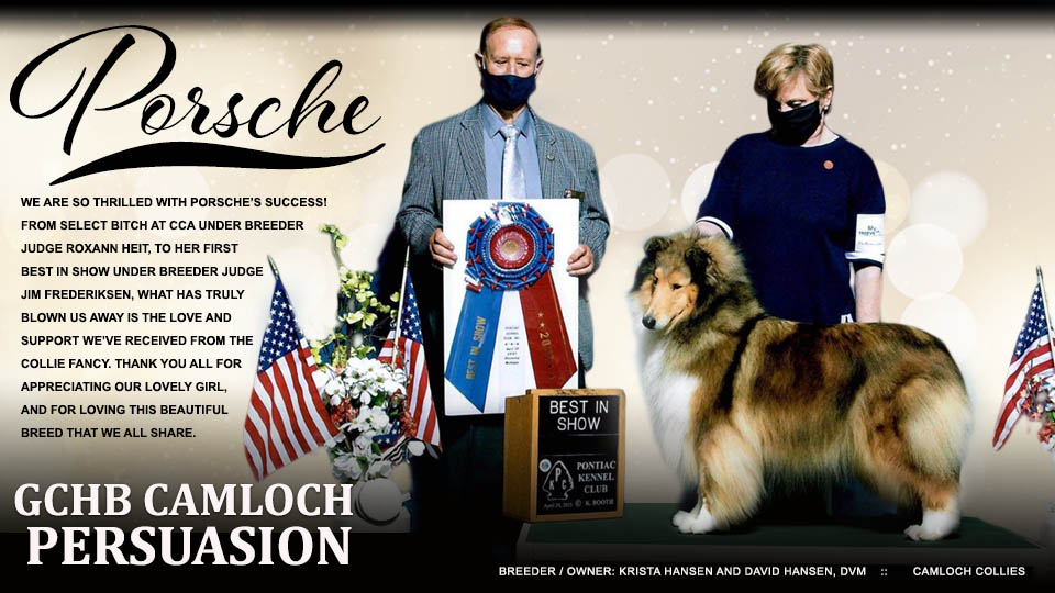 Camloch Collies -- GCHB Camloch Persuasion