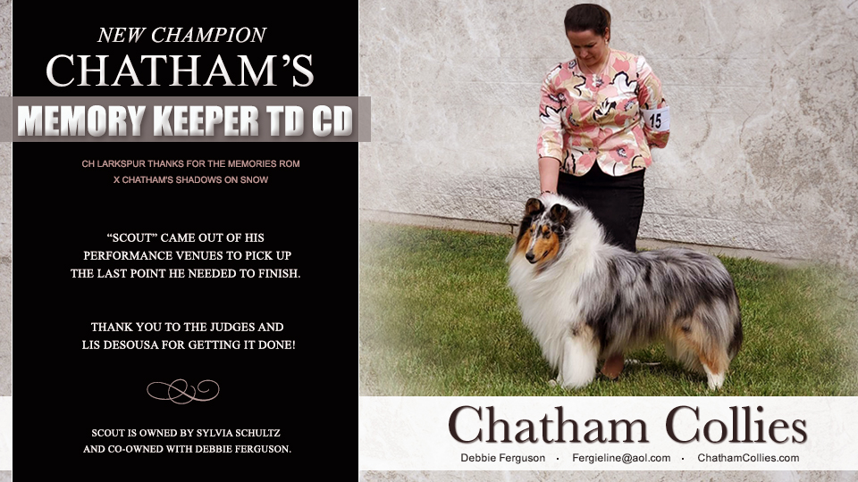 Chatham Collies -- Memory Keeper TD CD 