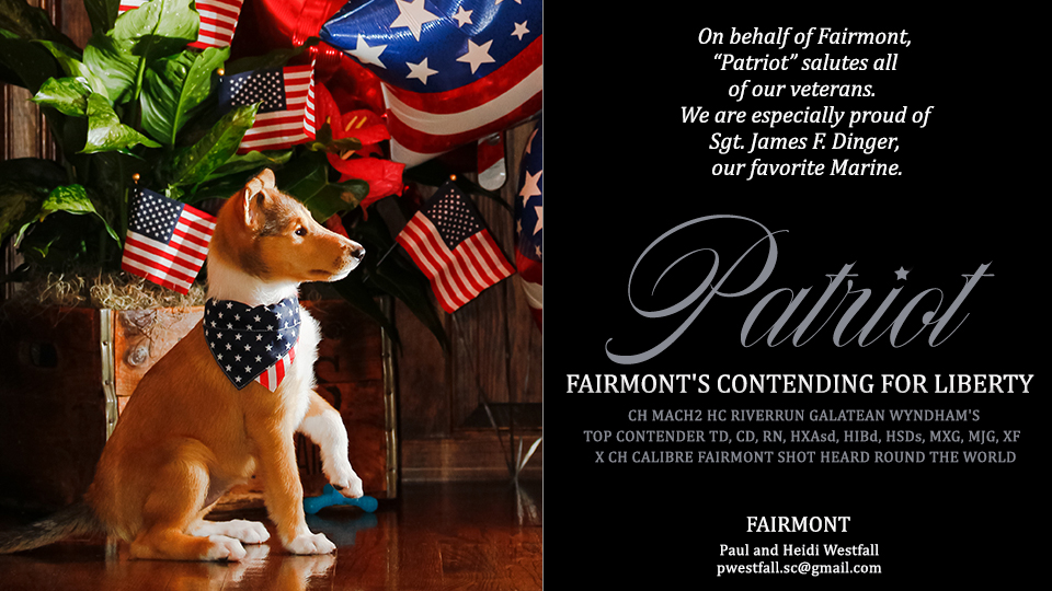 Fairmont Collies -- Fairmont's Contending For Liberty