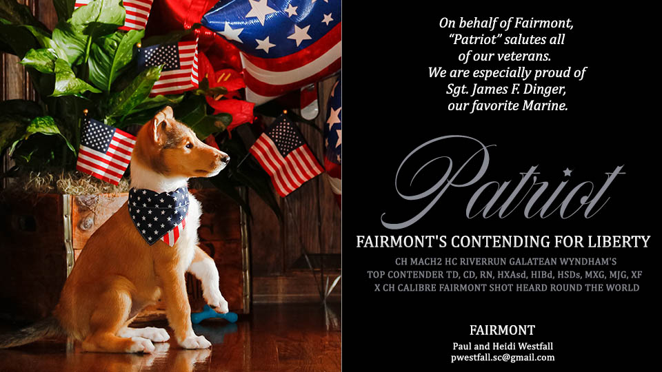 Fairmont Collies -- Fairmont's Contending For Liberty