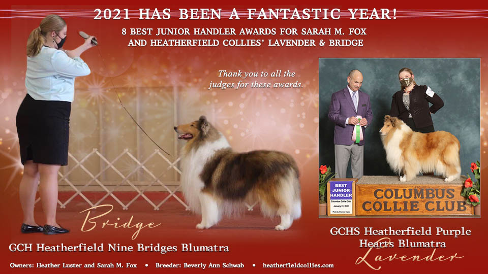 Heatherfield Collies -- Sarah M. Fox and GCH Heatherfield Nine Bridges Blumatra and GCHS Heatherfield Purple Hearts Blumatra