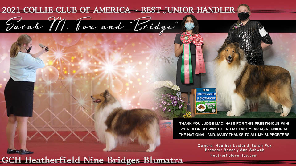 Heatherfield Collies -- Sarah M. Fox and GCH Heatherfield Nine Bridges Blumatra