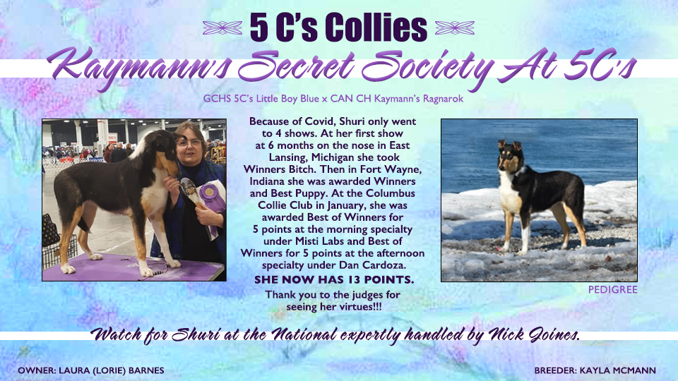 5C's Collies -- Kaymann's Secret Society At 5C's