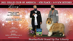Heatherfield Collies -- Heatherfield Stand Up For Liberty