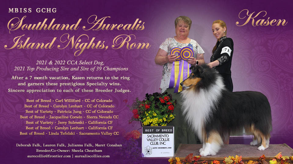 Aurealis Collies -- GCHG Southland Aurealis Island Nights, ROM