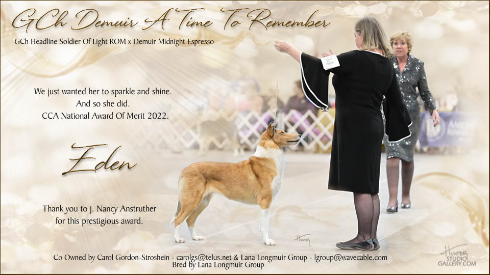 Demuir Collies -- GCH Demuir A Time To Remember