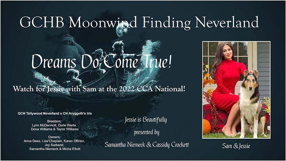 Moonwind Collies -- GCHB Moonwind Finding Neverland