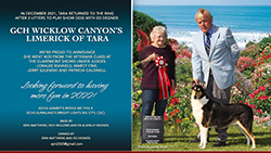 Wicklow Collies / Canyon Collies -- GCH Wicklow Canyon's Limerick Of Tara