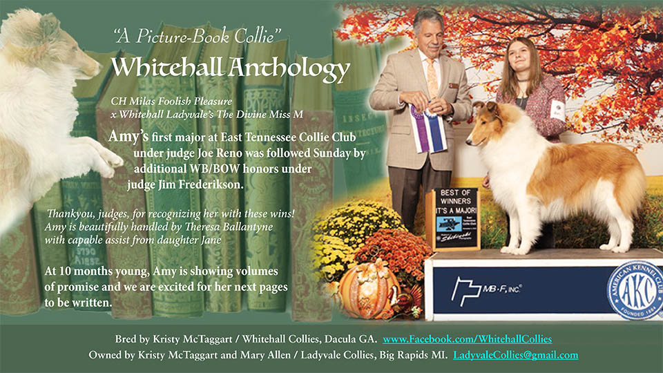 Whitehall Collies -- Whitehall Anthology