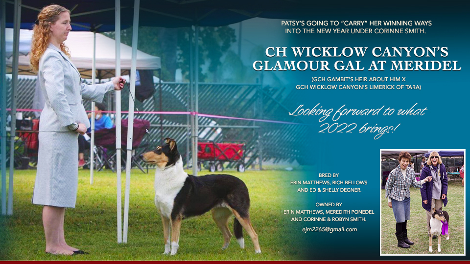 Wicklow Collies / Canyon Collies -- CH Wicklow Canyon’s Glamour Gal at Meridel