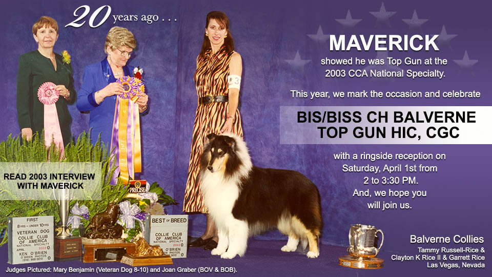 Balverne Collies -- CH Balverne Top Gun HIC, CGC
