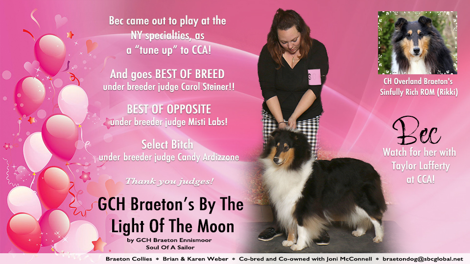 Braeton Collies -- GCH Braeton's By The Light Of The Moon