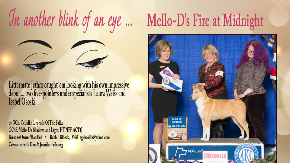 Mello-D Collies -- Mello-D's Fire At Midnight