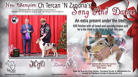 CH Tercan 'N Zandria's Song And Dance