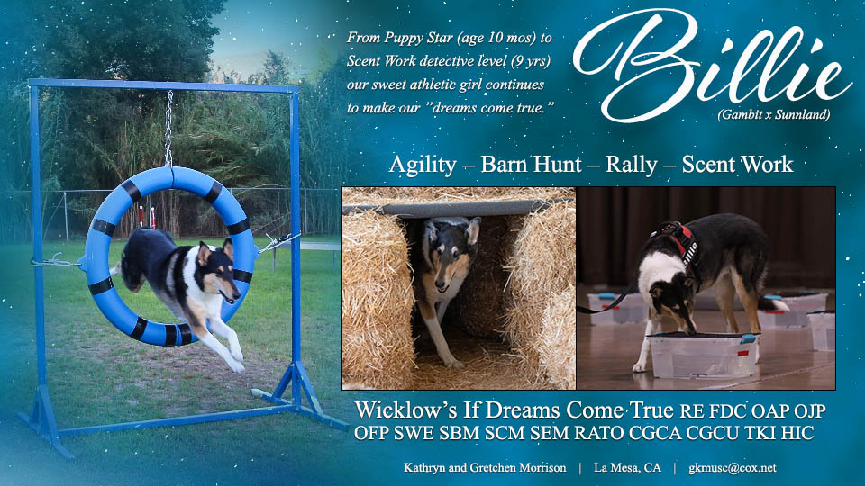 Kathryn and Gretchen Morrison -- Wicklow&rsquo;s If Dreams Come True RE FDC OAP OJP OFP SWE SBM SCM SEM RATO CGCA CGCU TKI HIC