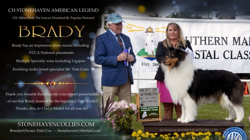 Stonehaven Collies -- CH Stonehaven American Legend