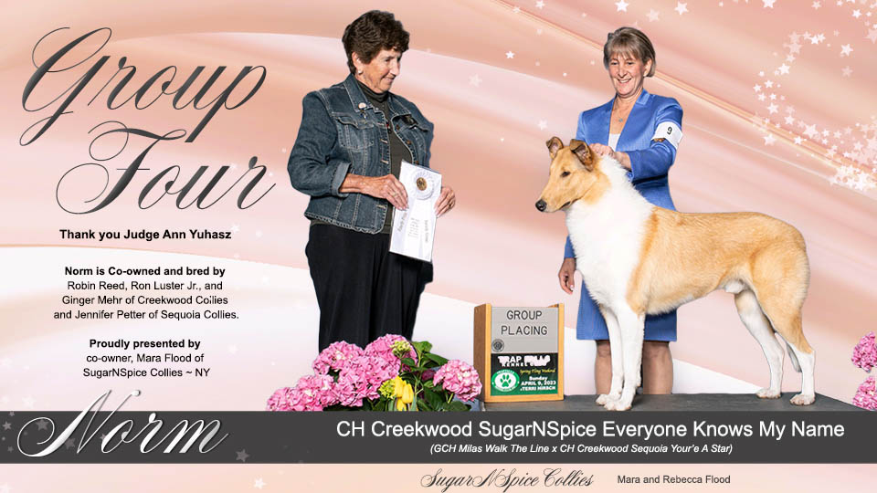 SugarNSpice Collies -- CH Creekwood SugarNSpice Everyone Knows My Name