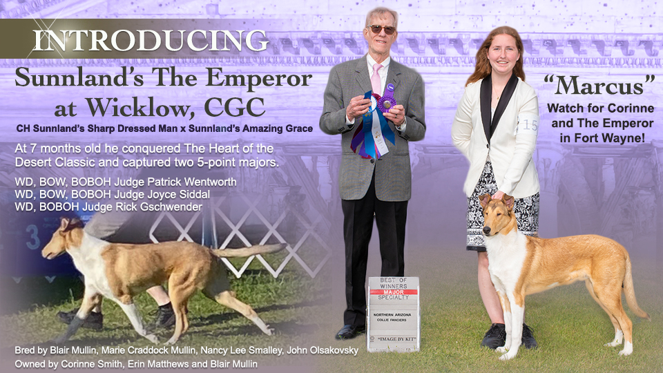 Sunnland's The Emperor At Wicklow CGC