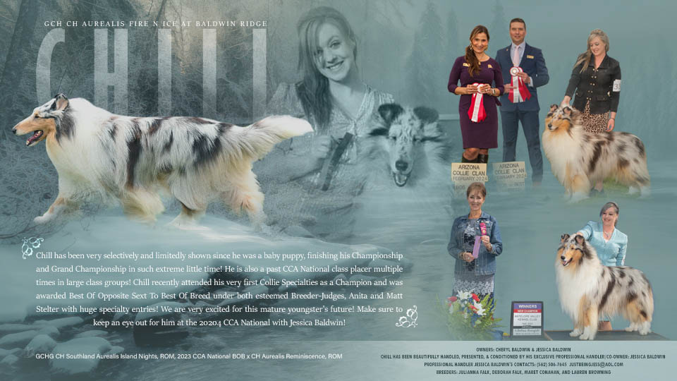 Baldwin Ridge -- GCH Aurealis Fire N Ice At Baldwin Ridge