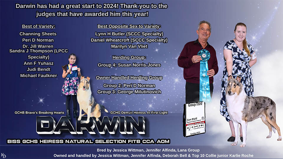 Heiress Collies -- GCHS Heiress Natural Selection FITB 