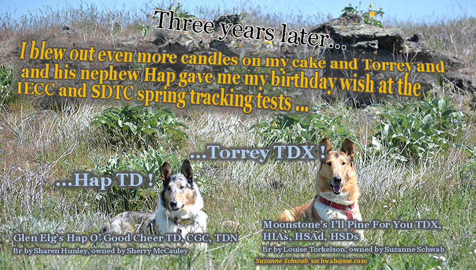 Suzanne Schwab -- Moonstone I'll Pine For You TDX HIAs HSAd HSDs / Glen Elg's Hap O' Good Cheer TD CGC TDN