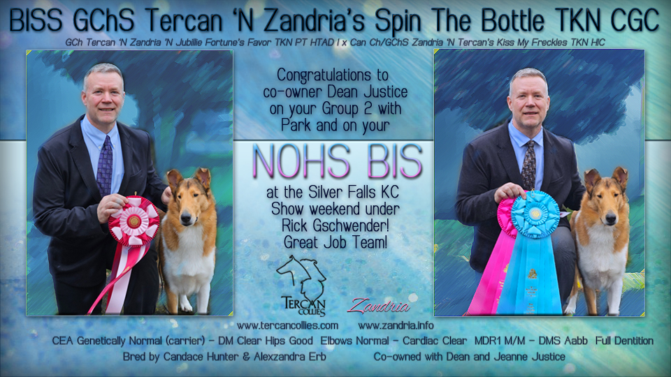 GCHS Tercan 'N Zandria's Spin The Bottle TKN